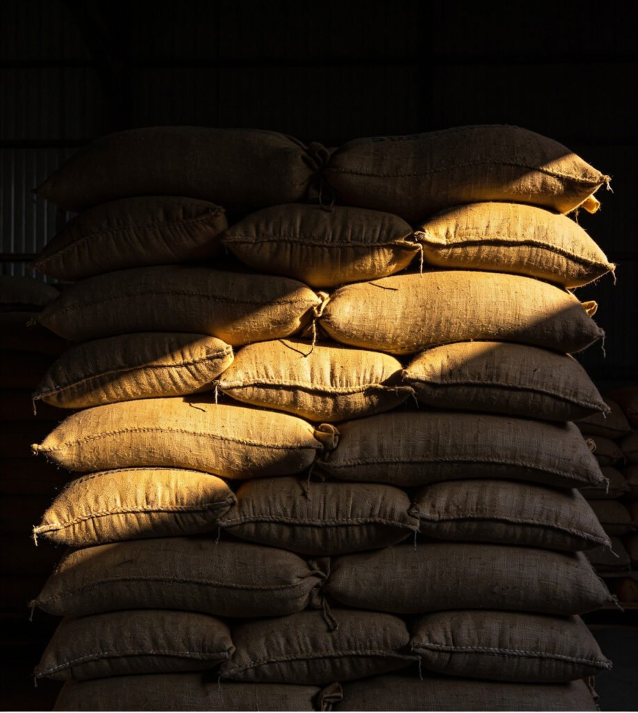 Aged 1121 basmati rice in climate controlled warehouse Pakistan