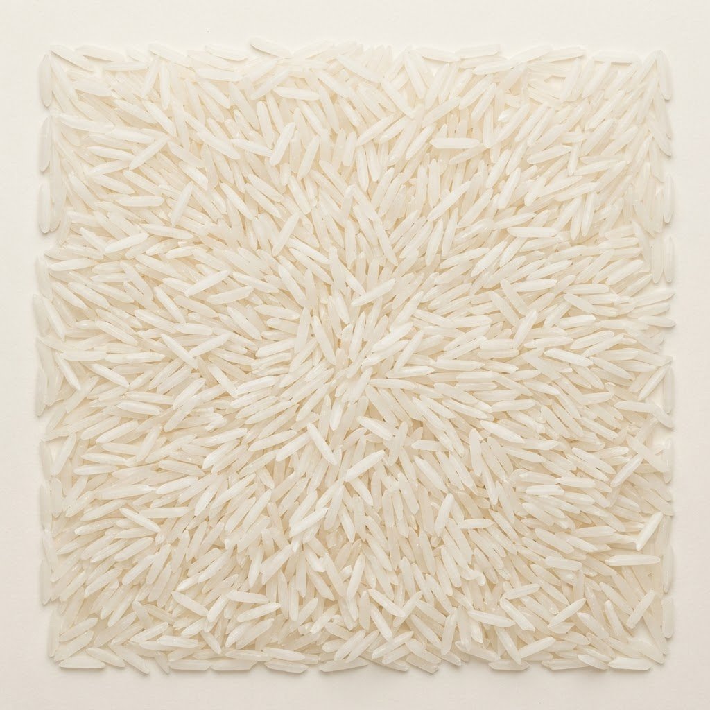 1509 basmati rice bulk export grade from Pakistan