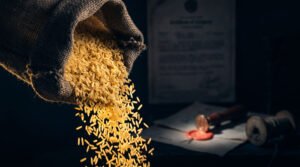 Certified Pakistani basmati rice grains beside export compliance documents representing ISO, HACCP and Halal certifications.