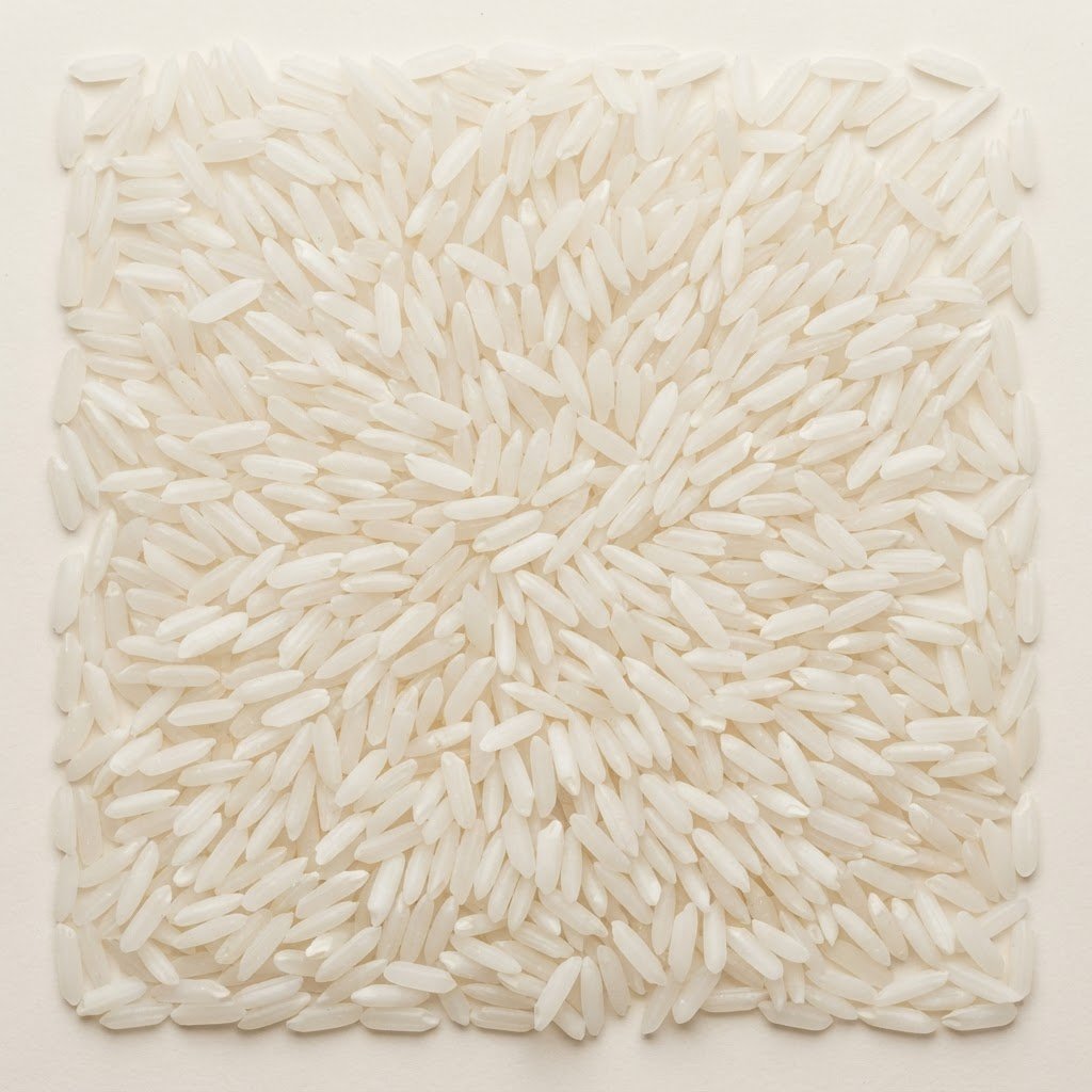 PK-386 long grain rice supplied in bulk to Qatar and GCC markets
