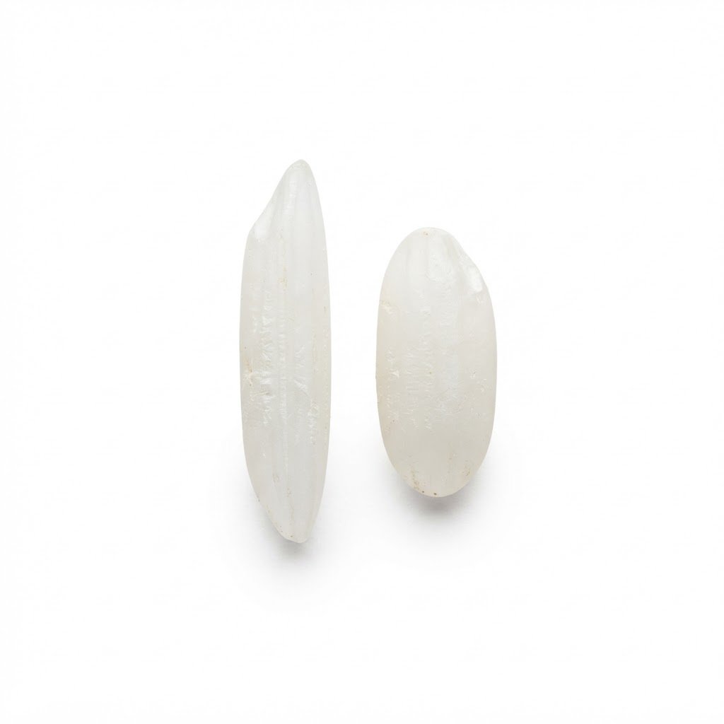 A single PK-386 rice grain beside a single IRRI-6 grain showing the difference in length