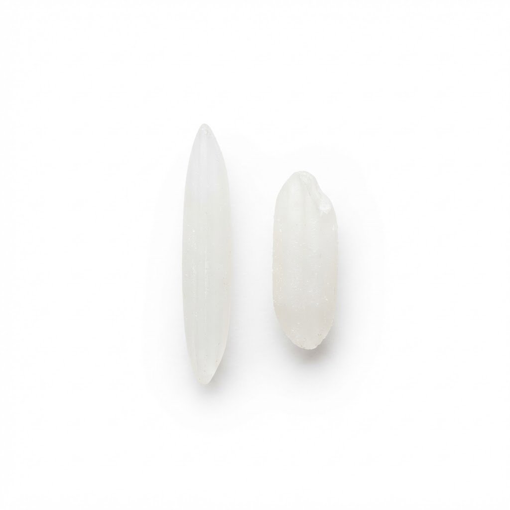 Two rice grains side by side, one extra long 1121 and one short, showing varietal purity