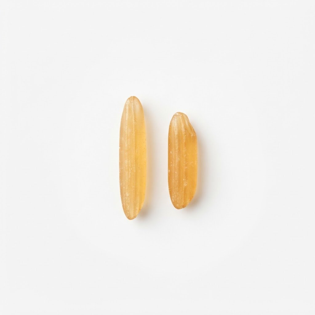 A single 1121 basmati grain beside a shorter basmati grain showing the difference in length