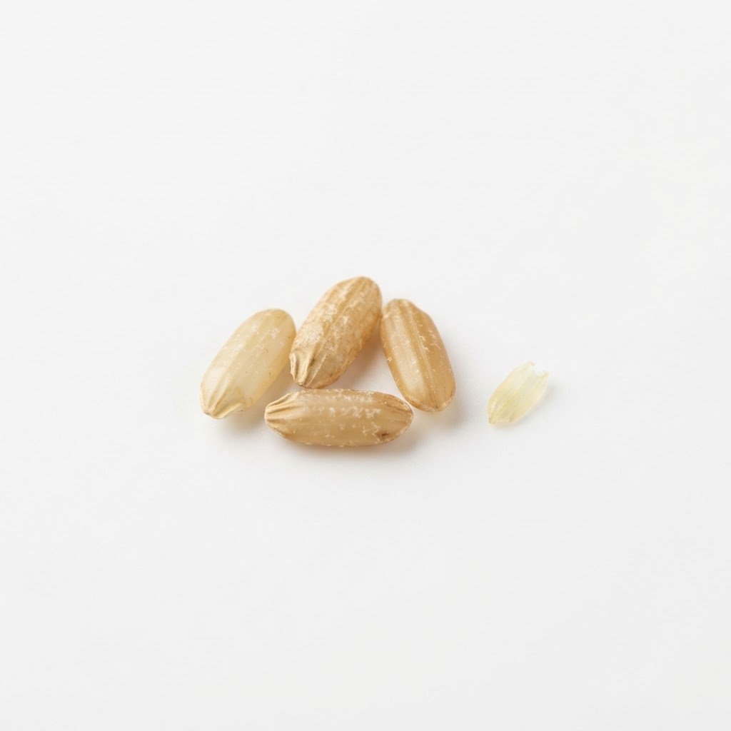 Foreign matter screened out of brown rice
