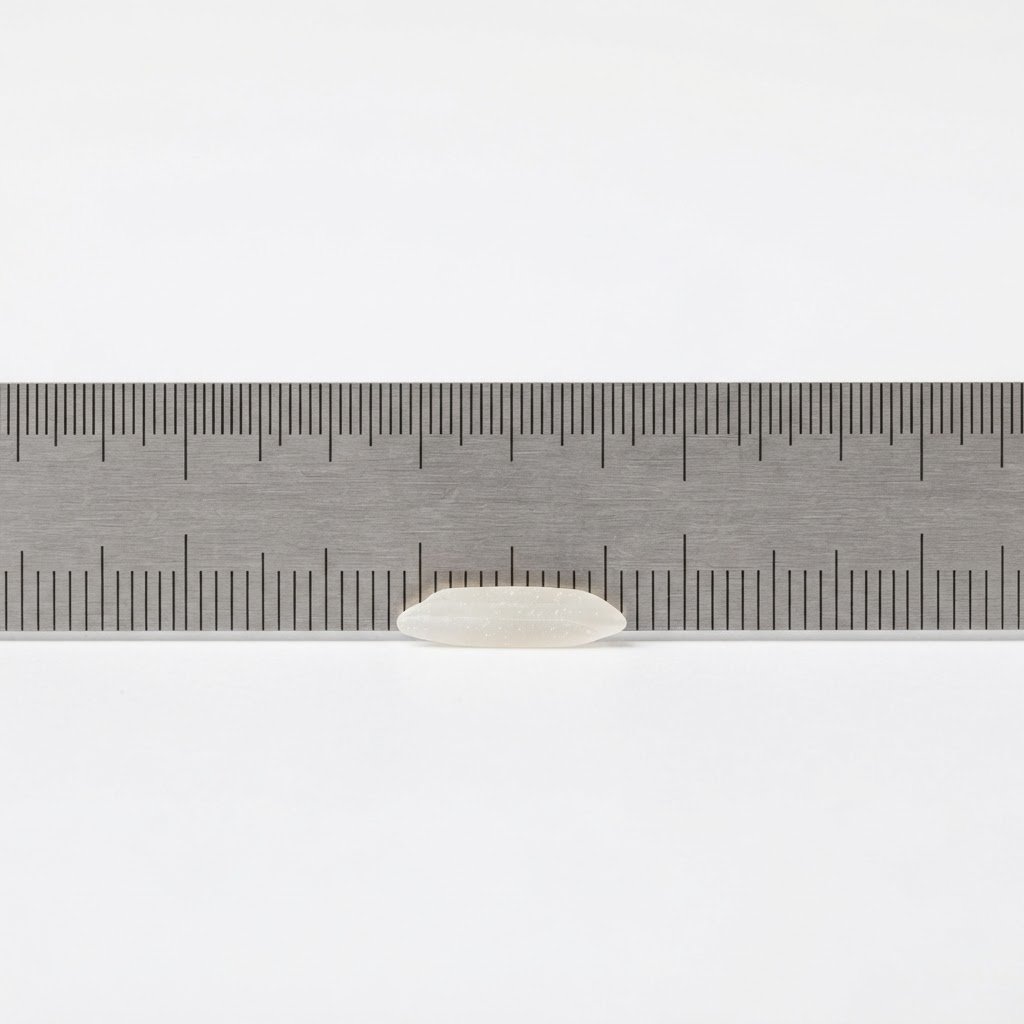 IRRI-6 long grain rice grain measured against a ruler for average grain length