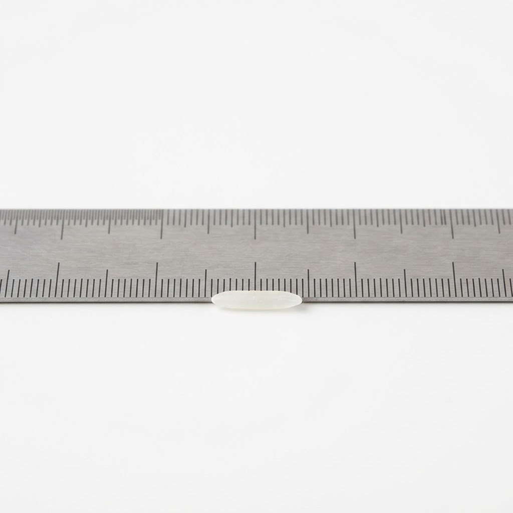IRRI-9 Long Grain Rice grain measured against a ruler