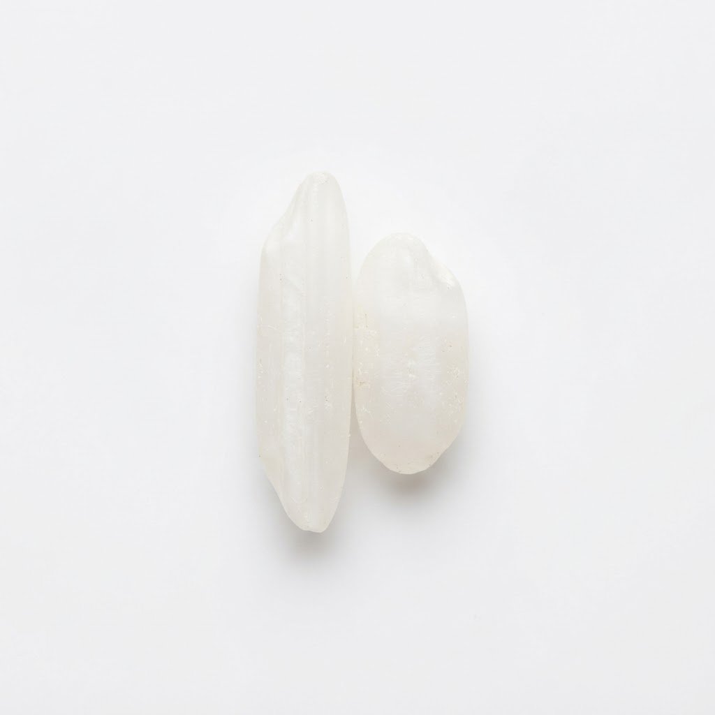 Two rice grains compared for IRRI-9 varietal purity