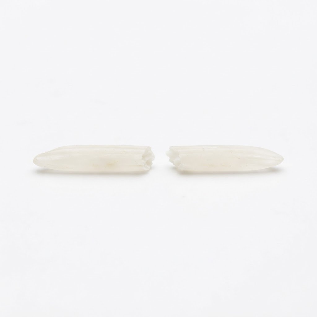 A basmati grain snapped in two, showing what the 1% broken maximum measures